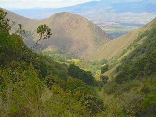Merestorasi bentang alam yang terdeforestasi lebih dari sekadar menanam pohon