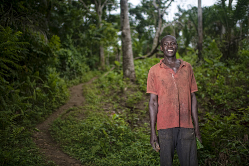Forests and climate change in Central Africa — what will 2014 bring?
