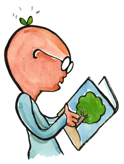 10 things you need to know about REDD+ safeguards