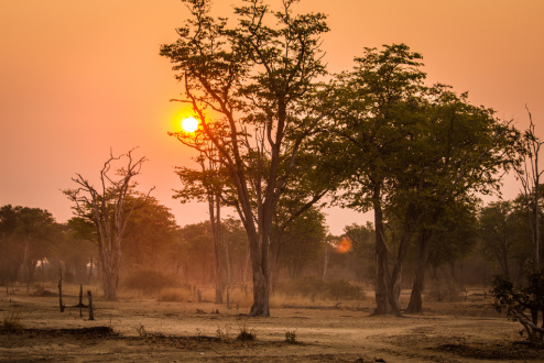 The road to REDD+: How Zambia can keep moving forward