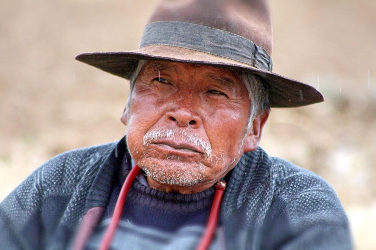 Frontier expansion: Lessons from Bolivia and Pará, Brazil.