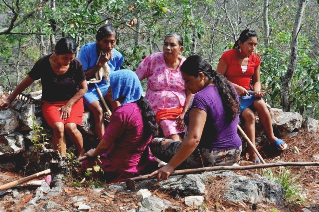 GUARDIANES DEL BOSQUE: El Rodeo, una comunidad Maya revive un bosque