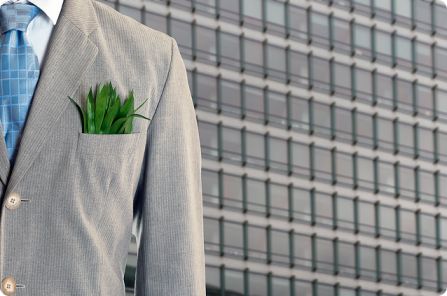 Dibutuhkan penyandang dana berkomitmen hijau, himbau konferensi bentang alam tropis