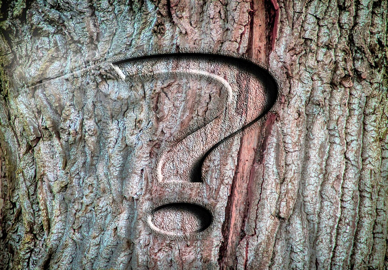 Mais qu’est-ce donc que ce droit sur le carbone ?