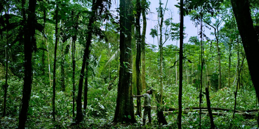 Abundant promise, abundant risk: Formalization of natural resource trade