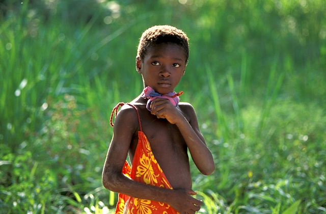 GUARDIANES DEL BOSQUE: Pueblos indígenas de Surinam se unen para conservar los bosques