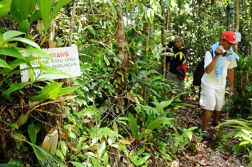 Diperlukan keseriusan menangani konservasi dan perdagangan liar botani