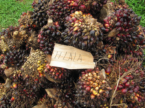 Di Indonesia, perusahaan berkomitmen dengan pengelolaan sawit lestari