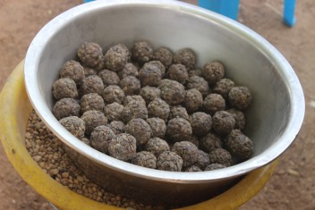 086 Kalembouli soumbala & nere seeds