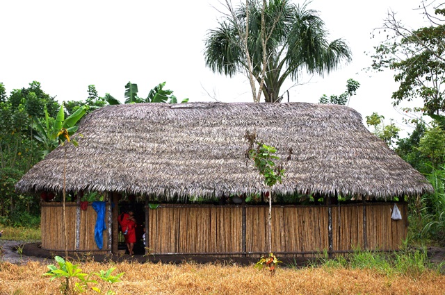 ¿Ciencia para el cambio climático? Pregúntele a los pueblos indígenas