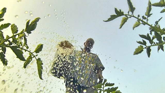 WEST AFRICA SPECIAL: In Burkina Faso, disappearing rains and new realities