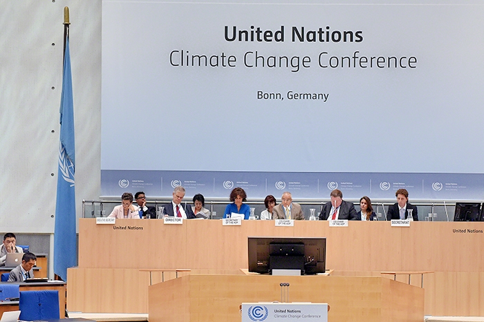 Tras diez largos años, el marco de implementación para REDD+ está listo