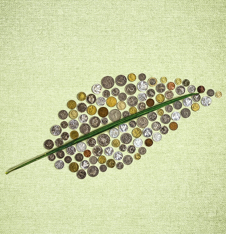 Pagos por servicios ambientales: más allá de los incentivos financieros