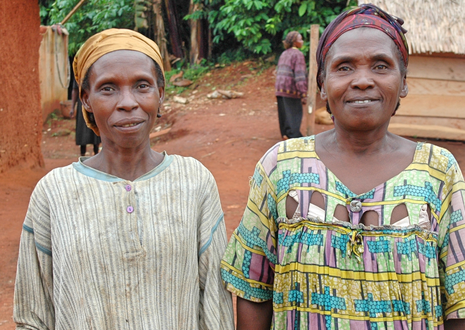 Social networking for climate change adaptation in Cameroon (and it’s not Twitter)