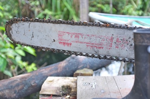 Bayang-bayang hijau: Menyeimbangkan konservasi dan pembangunan Indonesia