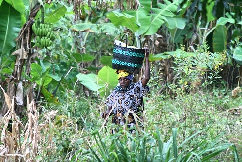 Nourriture sauvage synonyme de bonne nourriture