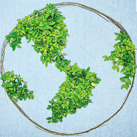 Like herding scientists: one man and many many trees