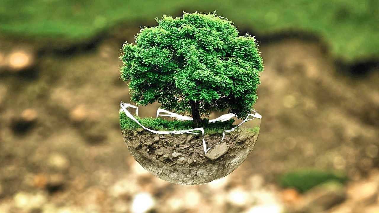 Counting trees: 143 scientists just did