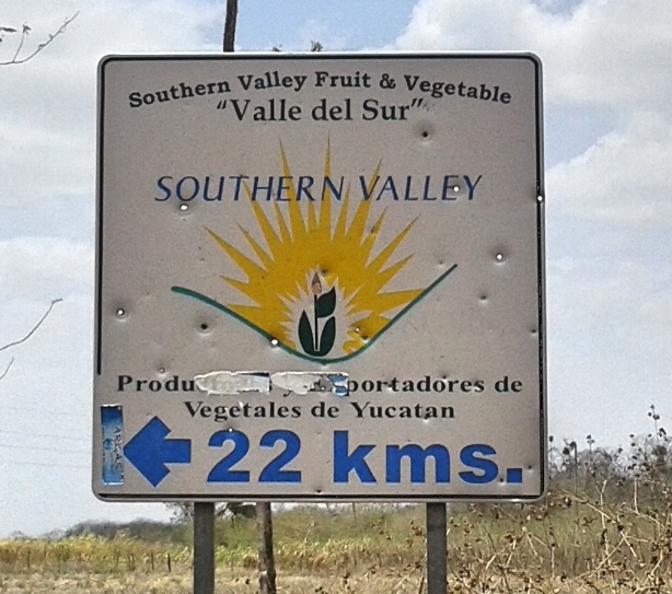 REDD+ en México: política, política y más política