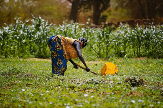 Gardening around Lake Bam, Burkina Faso