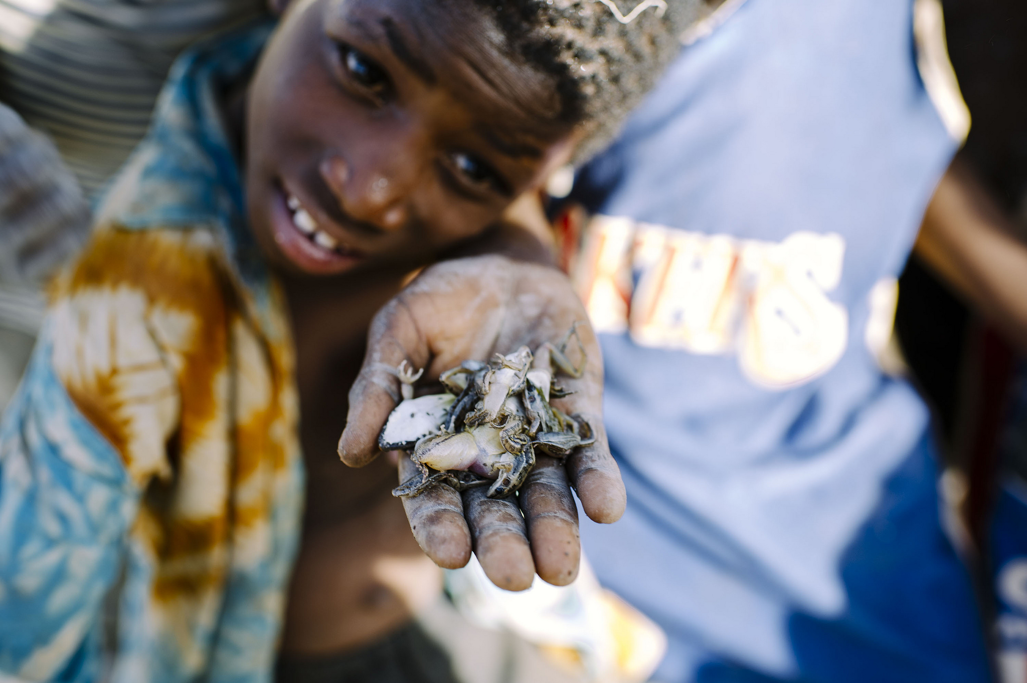 Wild food from dry forests: A recipe for health?