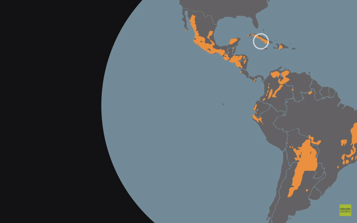 Got a minute? Get facts on dry forests … fast