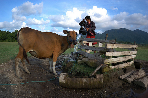 Satu masalah pelik, tiga tantangan besar