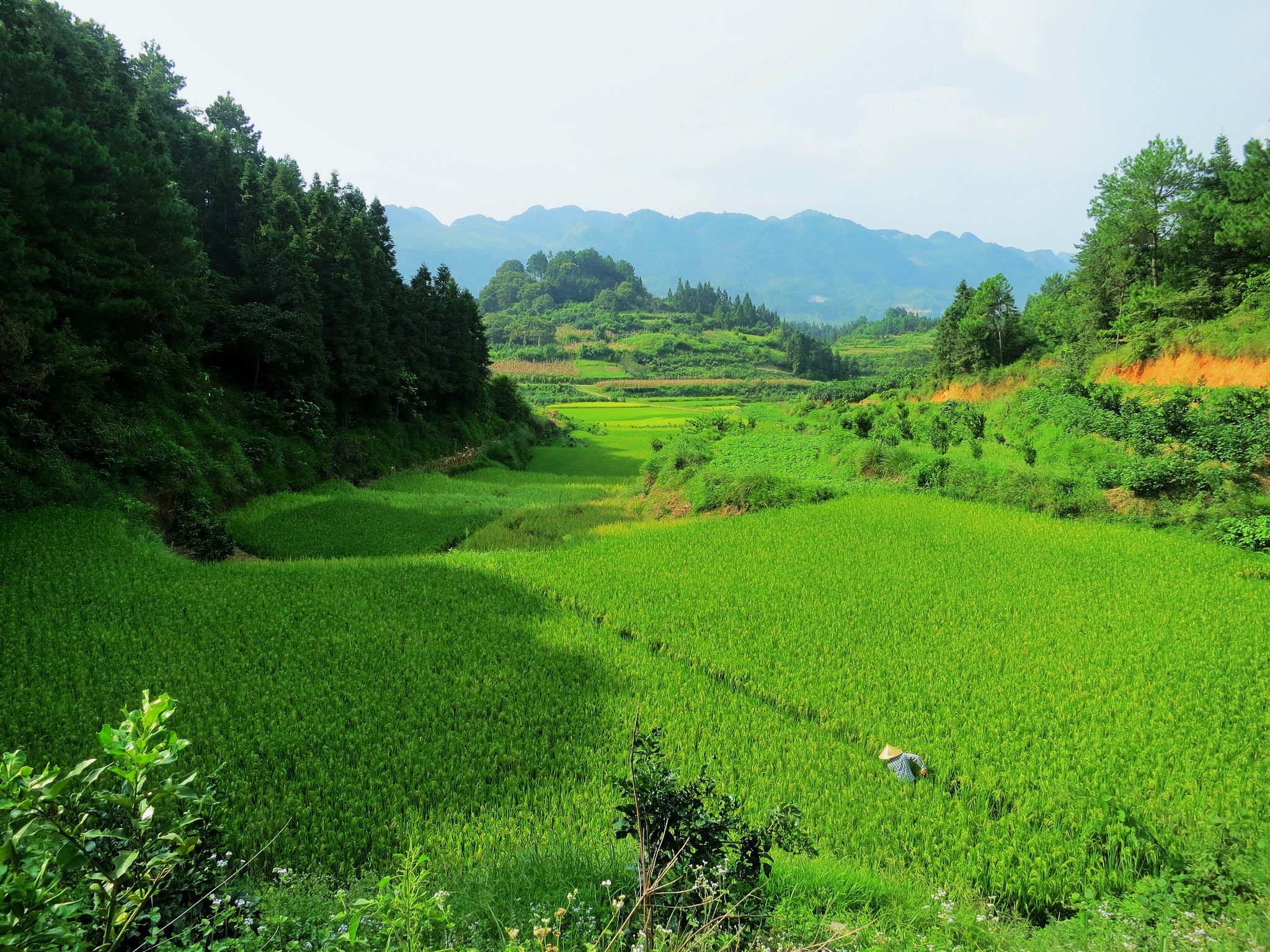 Reflexiones sobre el enfoque de paisajes durante el WFC ¿El nacimiento de un oxímoron?
