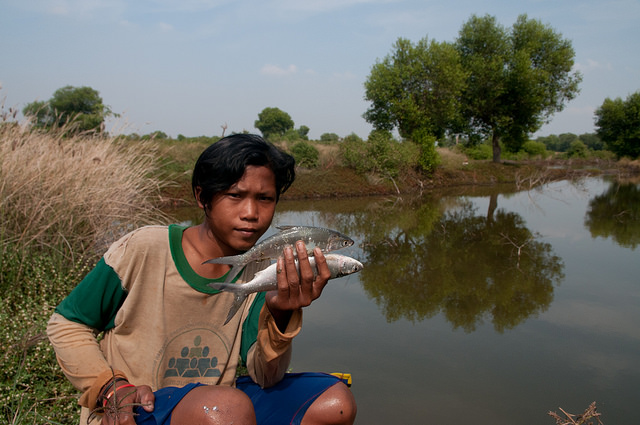 Investigador: «Los bosques están dentro de la agenda de la seguridad alimentaria mundial»