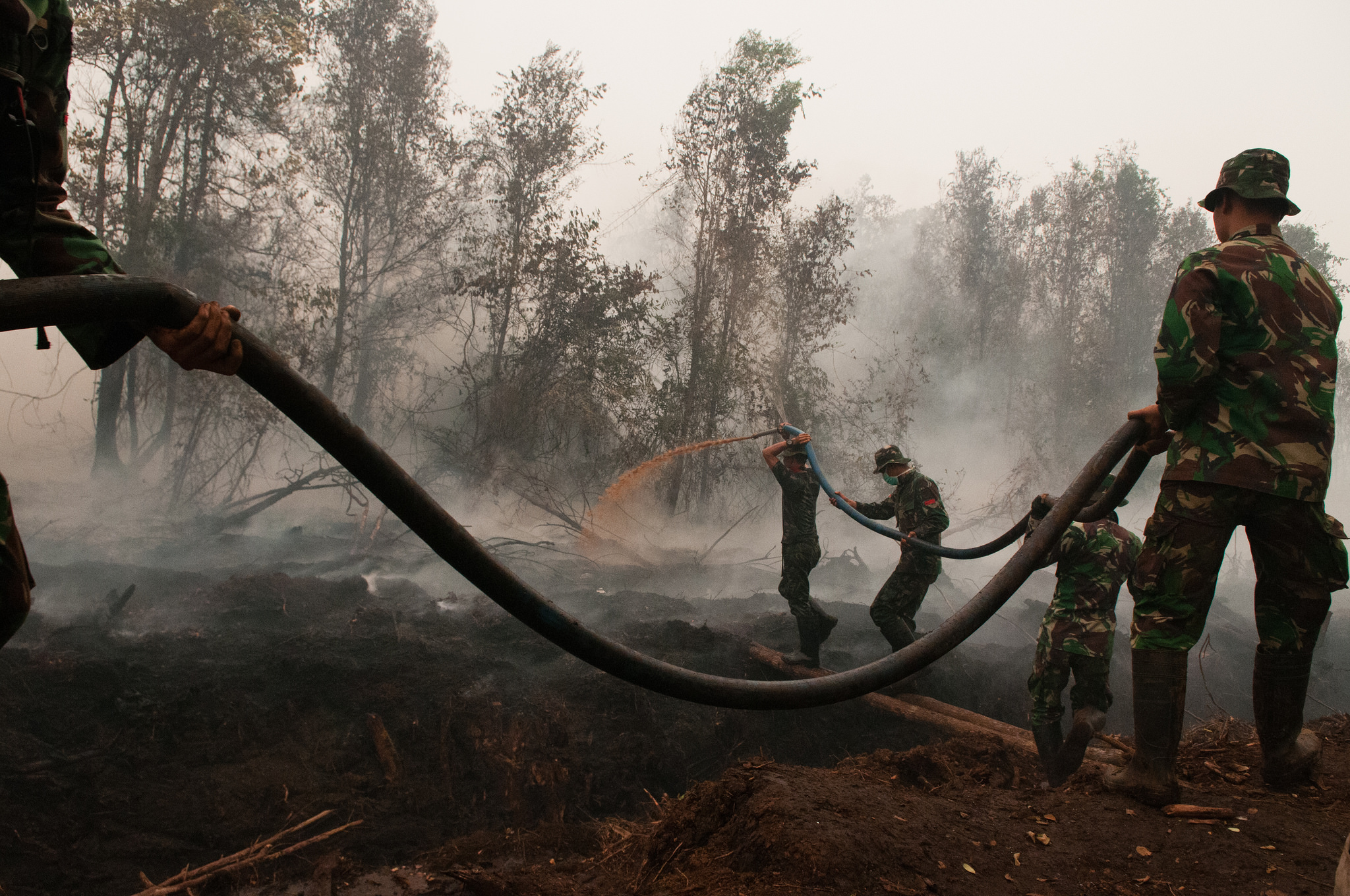 Clearing the smoke: The causes and consequences of Indonesia’s fires