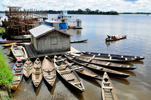 Amazon rising: Adaptation begins at home - Landscape Alliance Forests News
