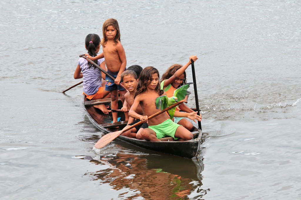 Olhando para o Sul por experiência em mudanças climáticas para salvar florestas tropicais