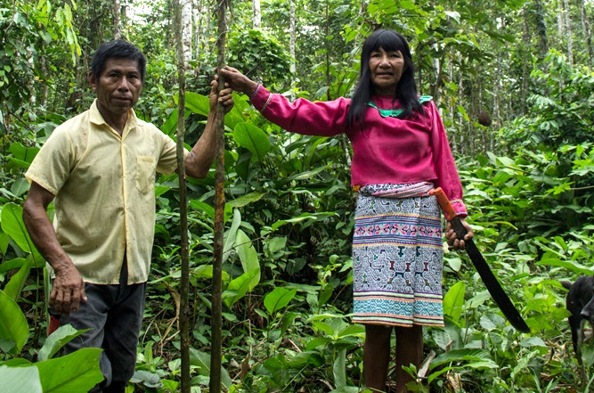 Cazadores, recolectores y roles de género