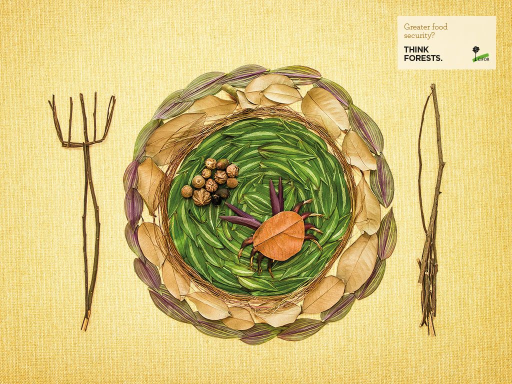 Vous connaissez bien les forêts et la nutrition ? Testez vos connaissances