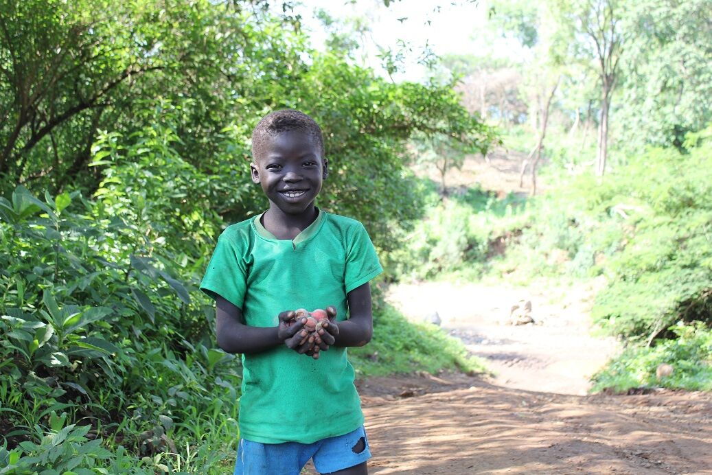 Forests and food: Get your facts straight!