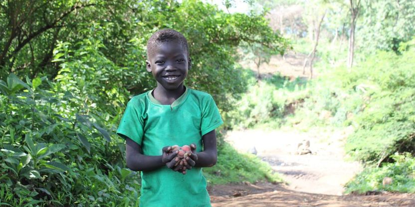 Bosques y alimentos: las cosas como son