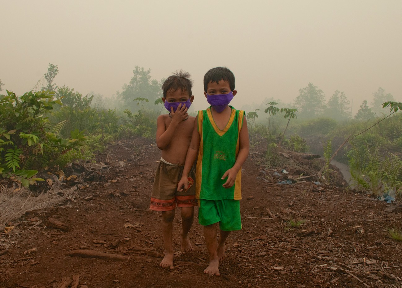 Preventing fire & haze: sustainable solutions for Indonesian peatlands