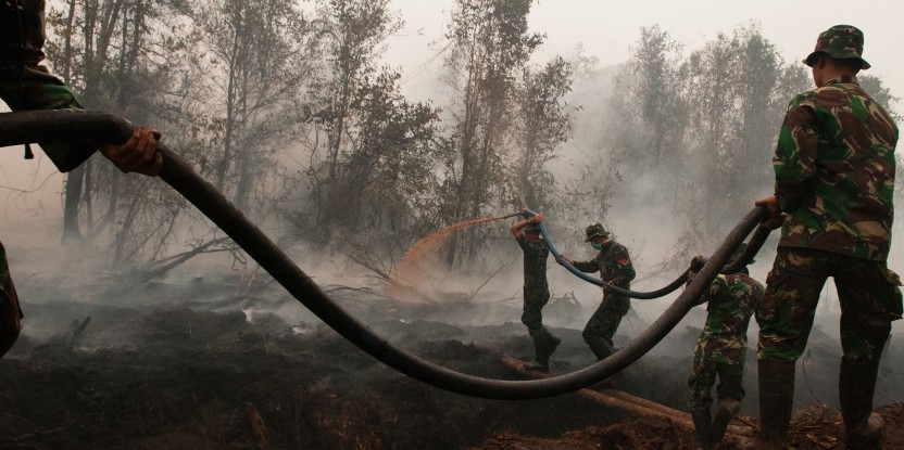 Dissiper la fumée : causes et conséquences des incendies en Indonésie