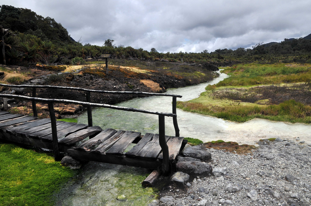 Thinking restoration? Think big and think inclusive