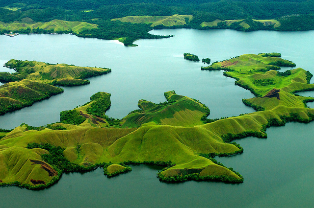 What the climate talks could mean for REDD+ (and the world)