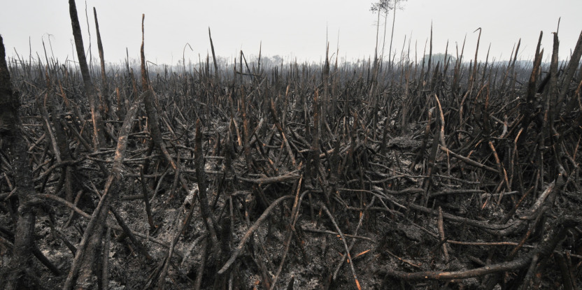 Les efforts pour éviter d’autres incendies commencent maintenant