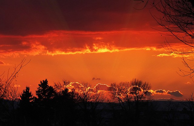 L’avenir de la REDD+ en 10 points