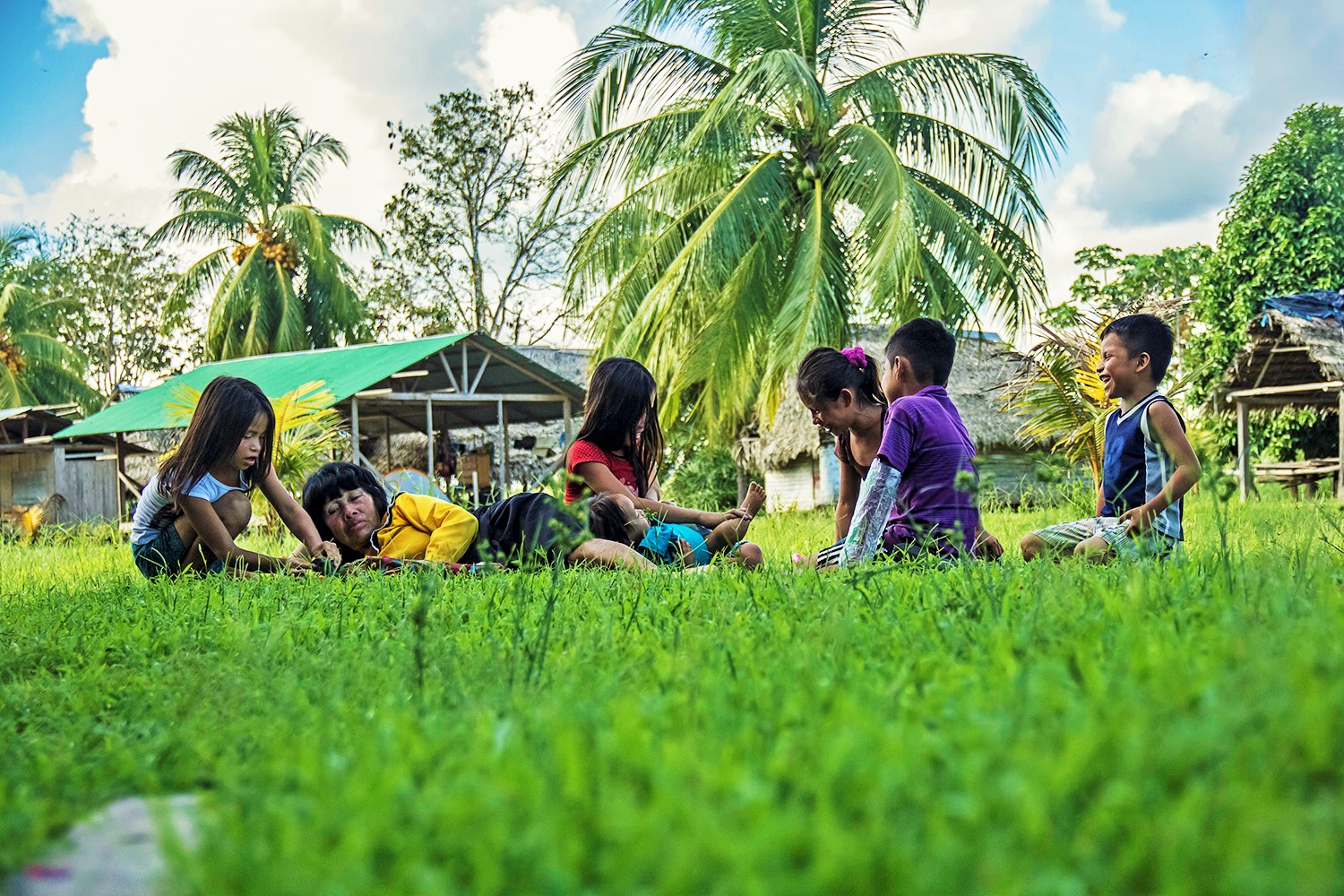 Migración: ¿Cómo afecta a las personas y a los bosques?