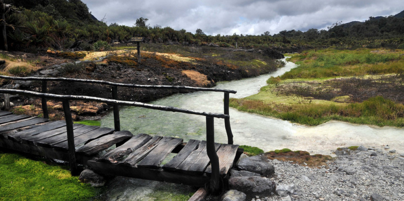 Vous pensez restauration ? Pensez grand, pensez inclusif