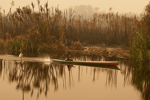 Menghalau kabut asap: Sebab dan dampak kebakaran lahan