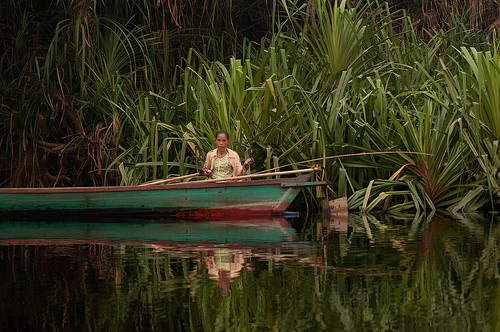 Ahli gizi membongkar mitos tentang hutan, ketahanan pangan dan nutrisi