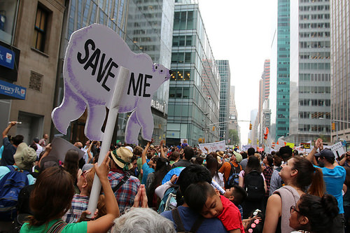 Makna perundingan iklim bagi REDD+ (dan dunia)