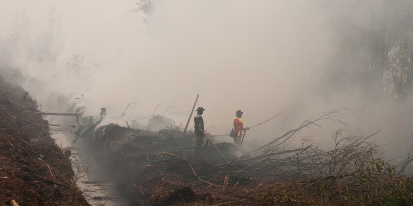 Pas de fumée sans gaz toxique : incursion dans la réalité des feux en Indonésie
