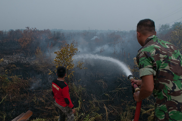 Waiting to exhale: The politics of fire in Indonesia