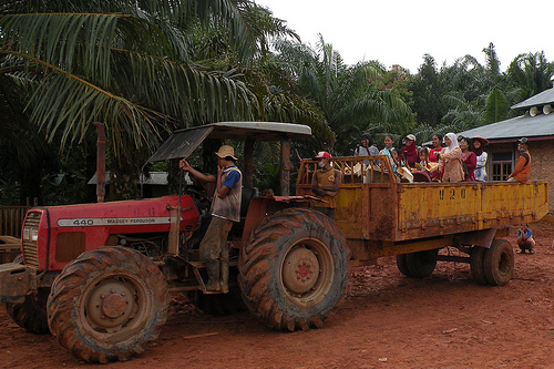 Petani skala kecil: Urat nadi komitmen nol deforestasi